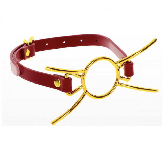    Taboom Open Mouth Spider Gag