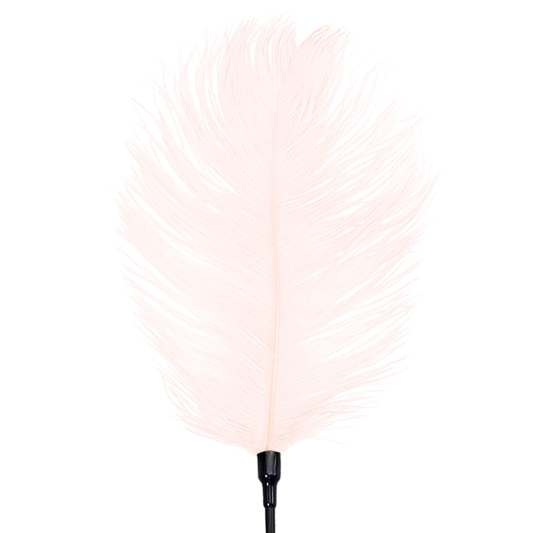 Feather Tickler