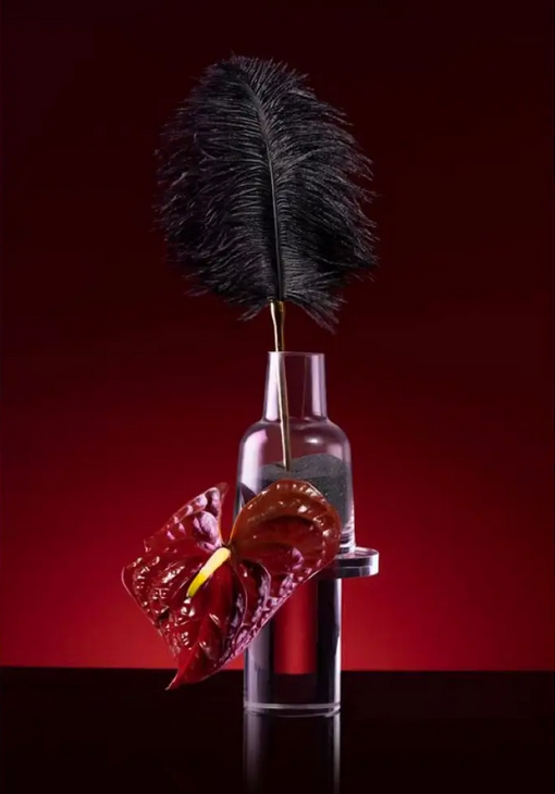     « » Carpe Diem Premium Bondage Set UPKO