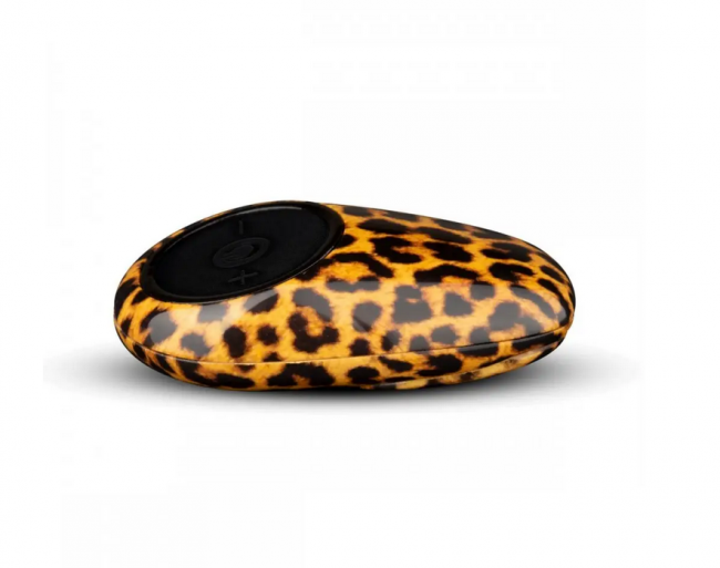    Tania Panty Vibe    , , 