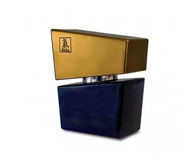      SHIATSU Pheromone Fragrance men grey 50 ml