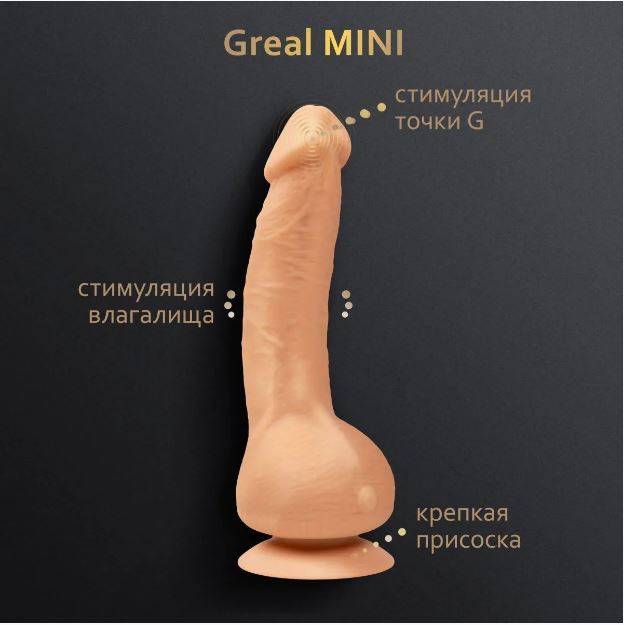     Bioskin Greal Mini  Gvibe ()