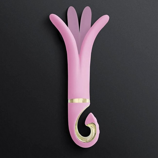 Gvibe 3 Pink Gift Box    , 183.5  ()