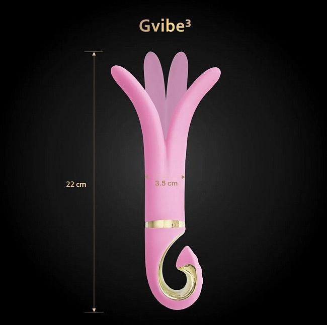 Gvibe 3 Pink Gift Box    , 183.5  ()