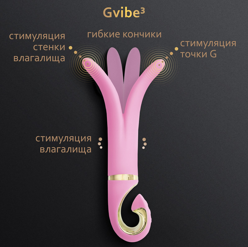 Gvibe 3 Pink Gift Box    , 183.5  ()