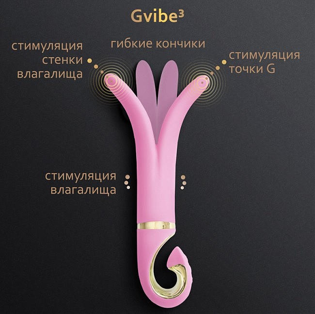 Gvibe 3 Pink Gift Box    , 183.5  ()