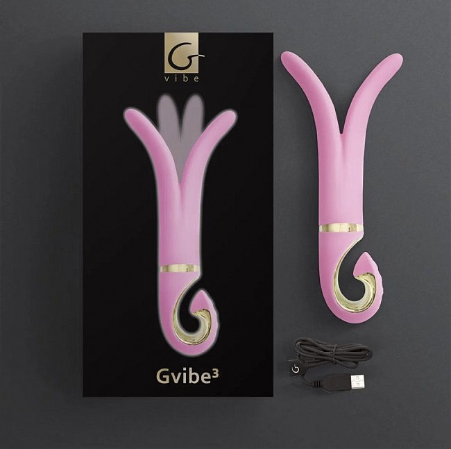 Gvibe 3 Pink Gift Box    , 183.5  ()