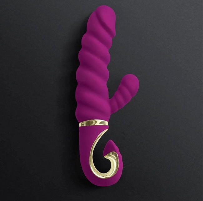 Gvibe Gcandy      , 123.5 