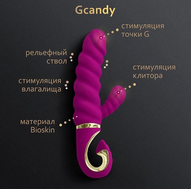 Gvibe Gcandy      , 123.5 