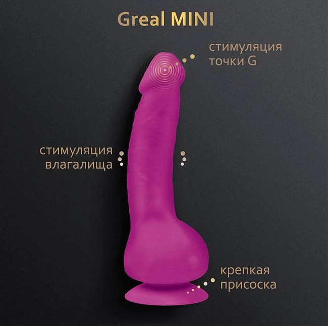     Bioskin Greal Mini  Gvibe