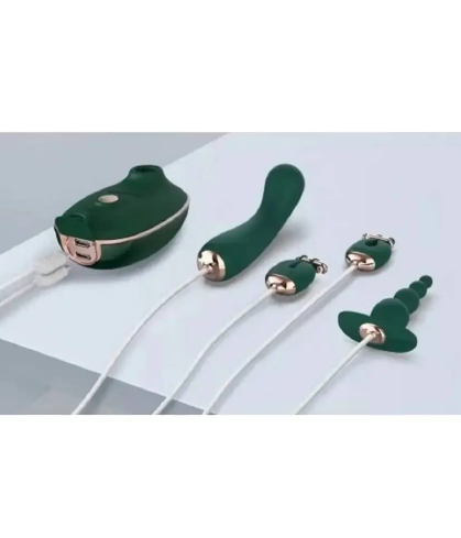 ����� ����-������� Qingnan Quartet, 4 �������� GREEN