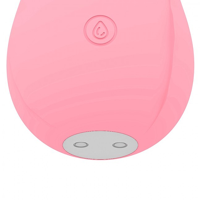    Rose Air Wave