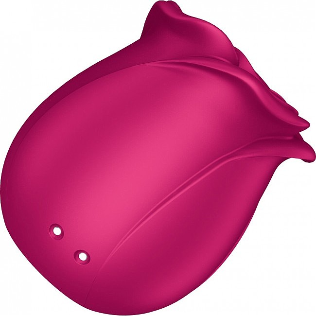    Satisfyer Pro 2 Classic Blossom