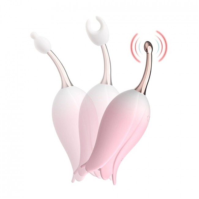 �������������� �������� ��� ������� Otouch Bloom Ultrasonic Clitoris, 2 �������