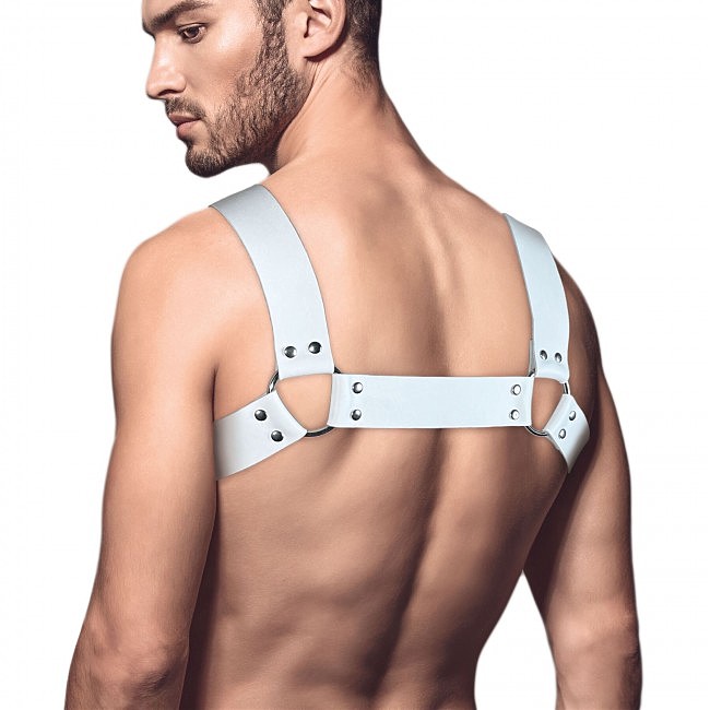        Feral Feelings Bulldog Harness
