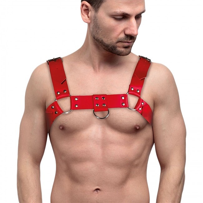        Feral Feelings Bulldog Harness