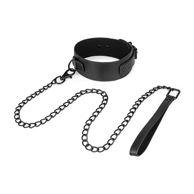  ������� � �������� Bedroom Fantasies Collar & Leash, ������