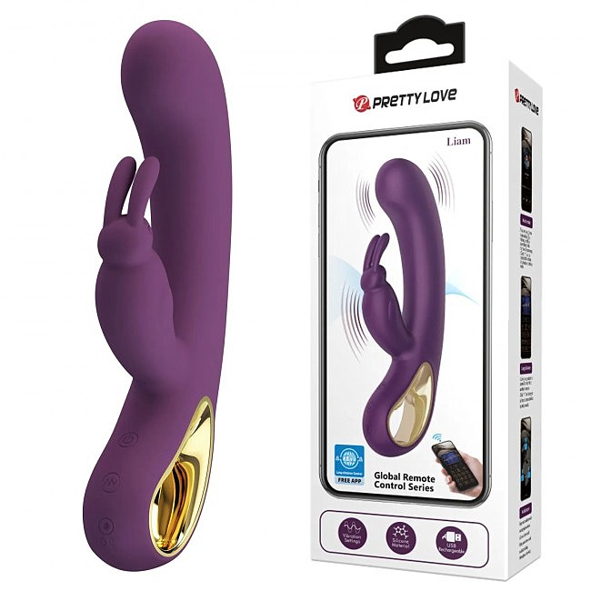 - Pretty Love Liam RC Control Vibrator Purple