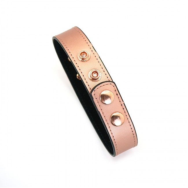      Liebe Seele Rose Gold Memory Collar with Nipple Clamps, 