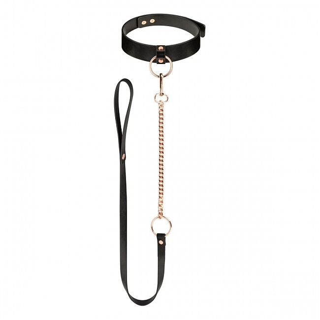 	   Rosy Gold Collar with Leash Black, 48  3,5 