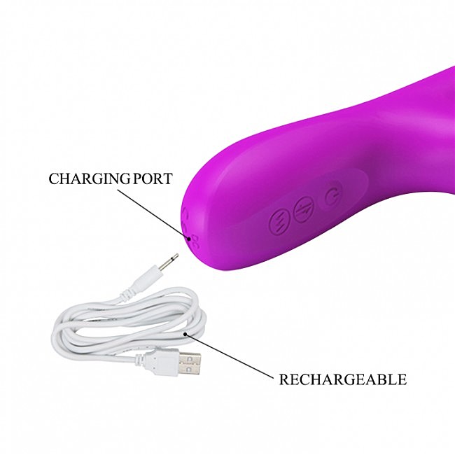    Pretty Love Reese Vibrator Purple