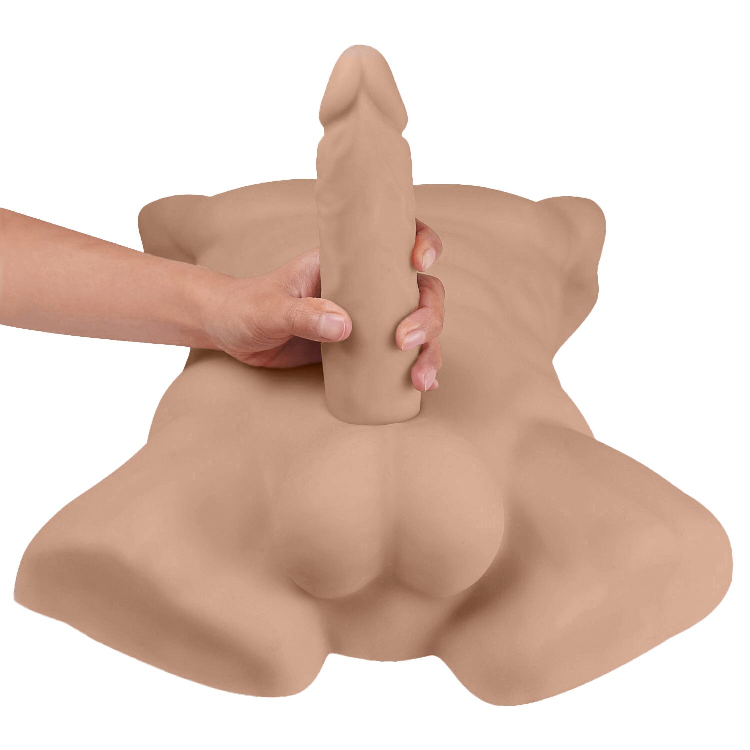      SilexD Apollo L Male Torso Caramel, 54 &#215; 38 &#215; 12 