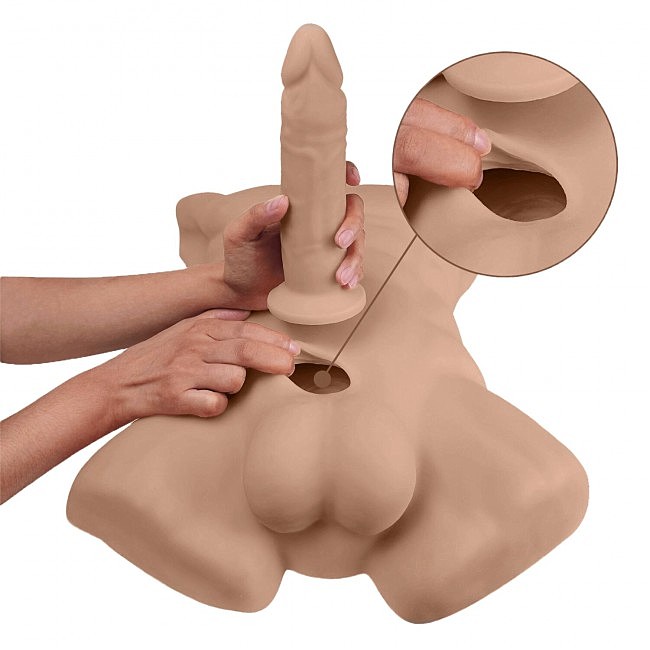      SilexD Apollo L Male Torso Caramel, 54 &#215; 38 &#215; 12 