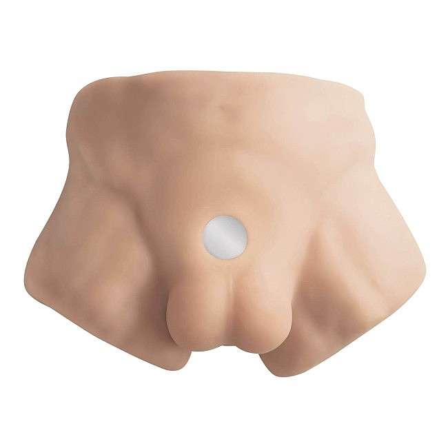      SilexD Apollo S Male Torso, ,