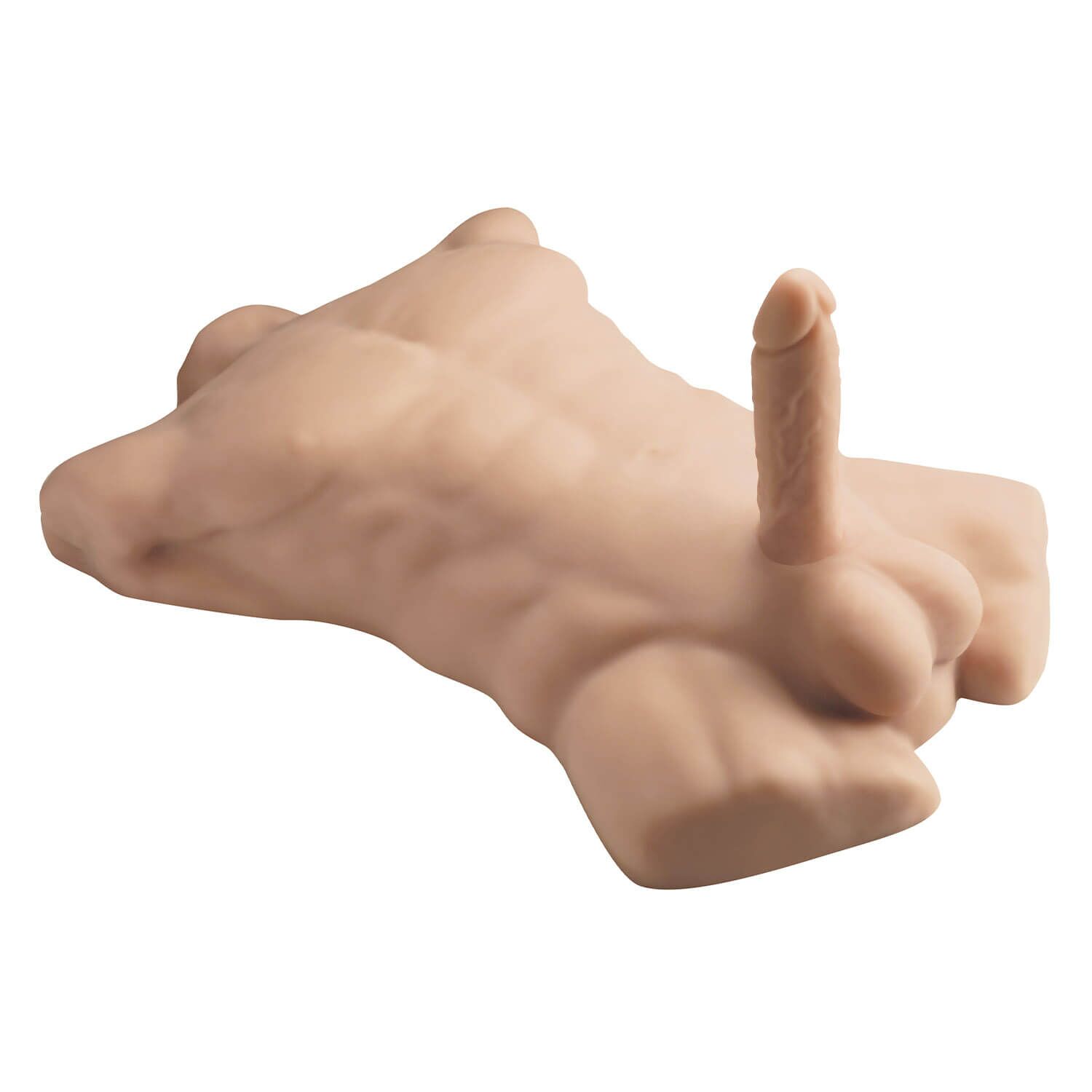       SilexD Apollo L Male Torso, 54 &#215; 38 &#215; 12 