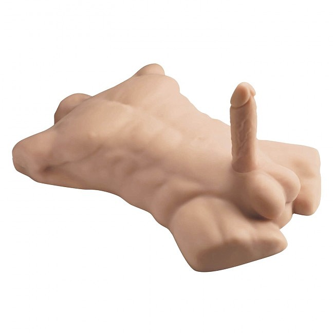       SilexD Apollo L Male Torso, 54 &#215; 38 &#215; 12 