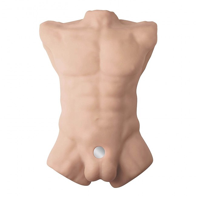       SilexD Apollo L Male Torso, 54 &#215; 38 &#215; 12 
