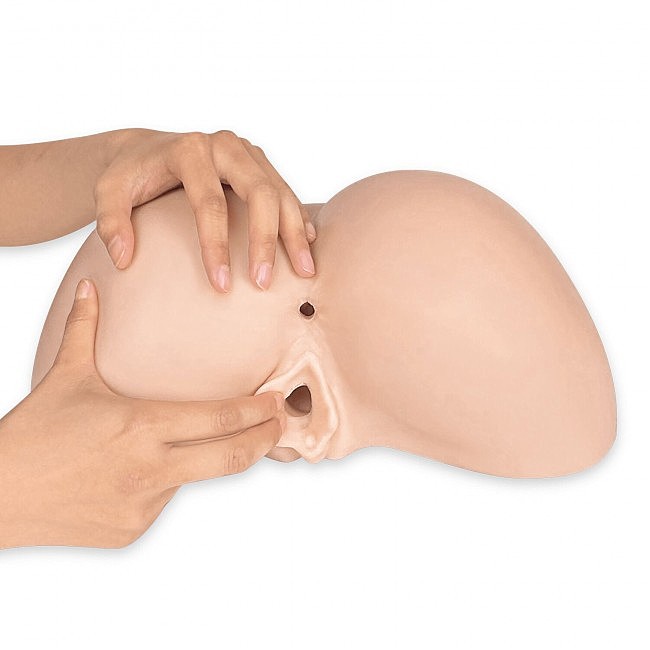 -    SilexD Daphne Ass Masturbator, 27 &#215; 32,5 &#215; 15 