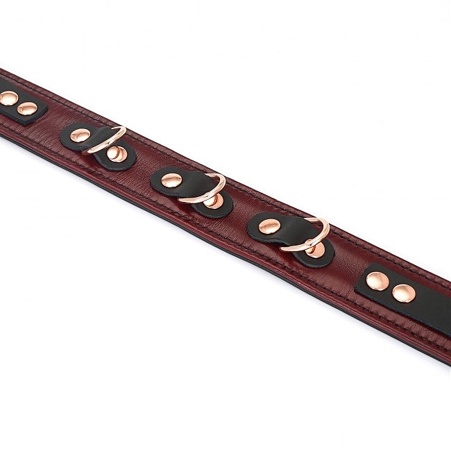     Liebe Seele Wine Red Collar and Leash, 3   