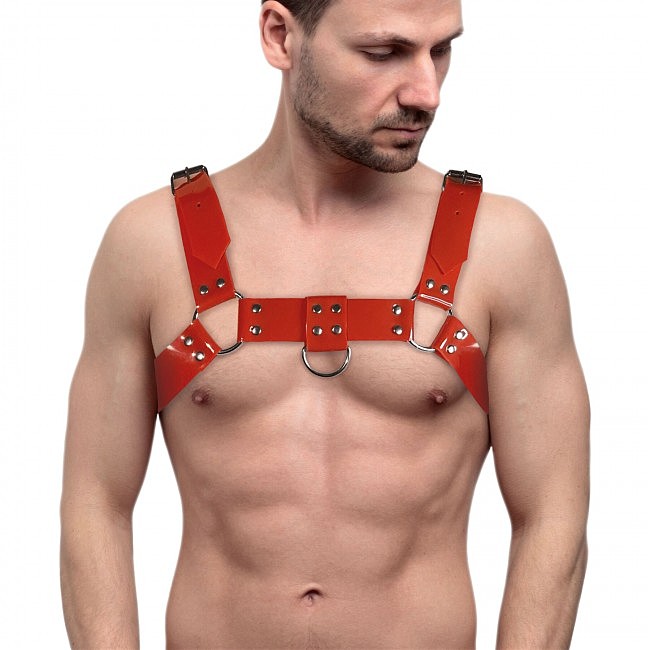     Feral Feelings Bulldog Harness, 