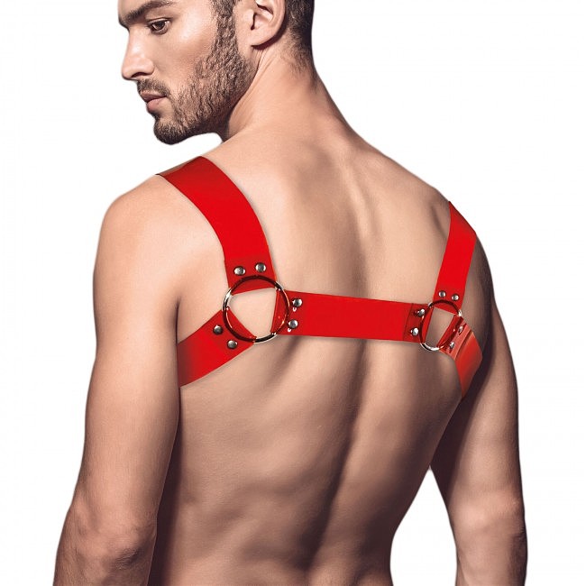     Feral Feelings Bulldog Harness